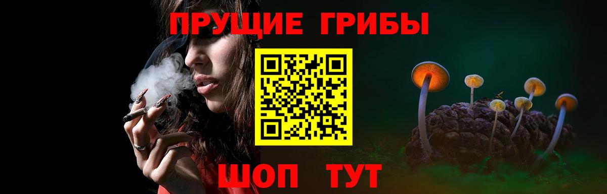 наркошоп  Вход с VPN  Галлюциногенные грибы мицелий  Славгород  Псилоцибиновые грибы Cubensis 